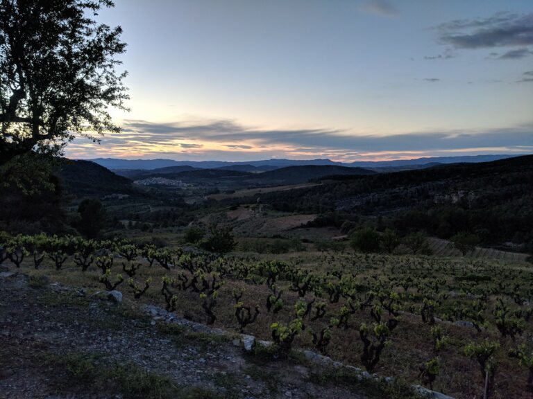 VinoMonte Wein